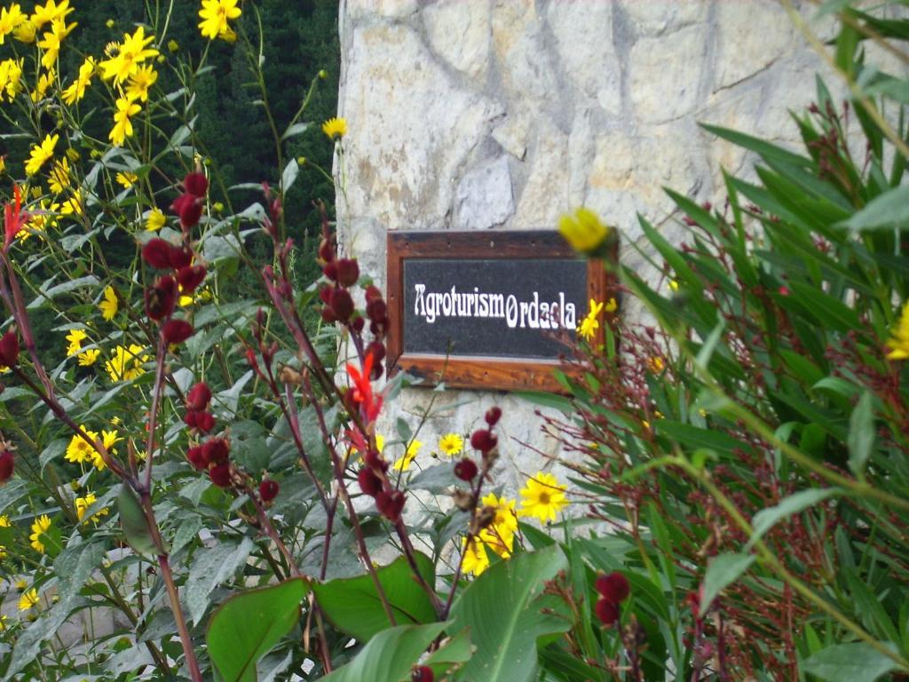 Agroturismo Ordaola Alonsotegi Dış mekan fotoğraf